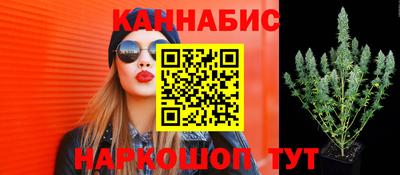 стаф Коммунар