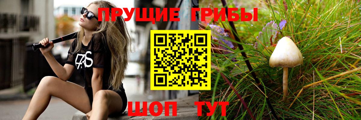 Чусовой  Галлюциногенные грибы MAGIC MUSHROOMS  Вход с VPN  Псилоцибиновые грибы MAGIC MUSHROOMS 